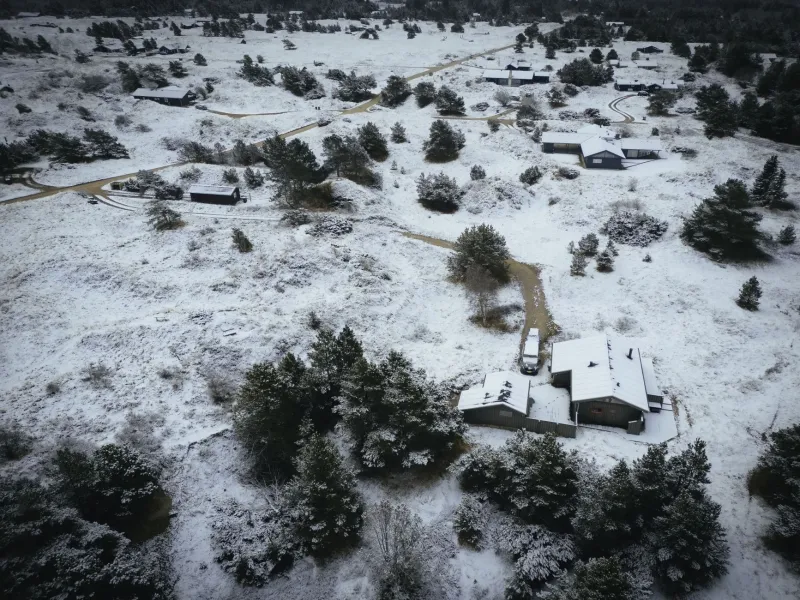 Cold Skies, Dark Secrets: Why America Can't Stop Reading Nordic Noir