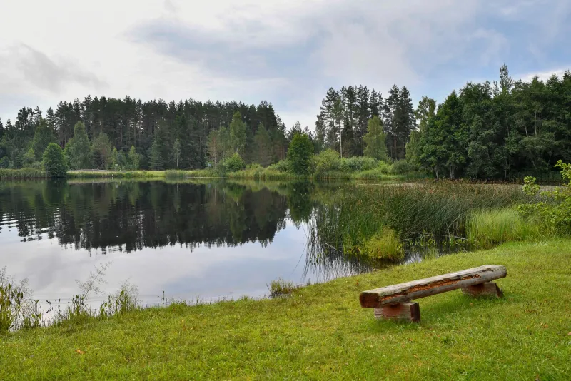 Guilt-Free and Loving It: What Scandinavia Can Teach America About the Lost Art of True Rest